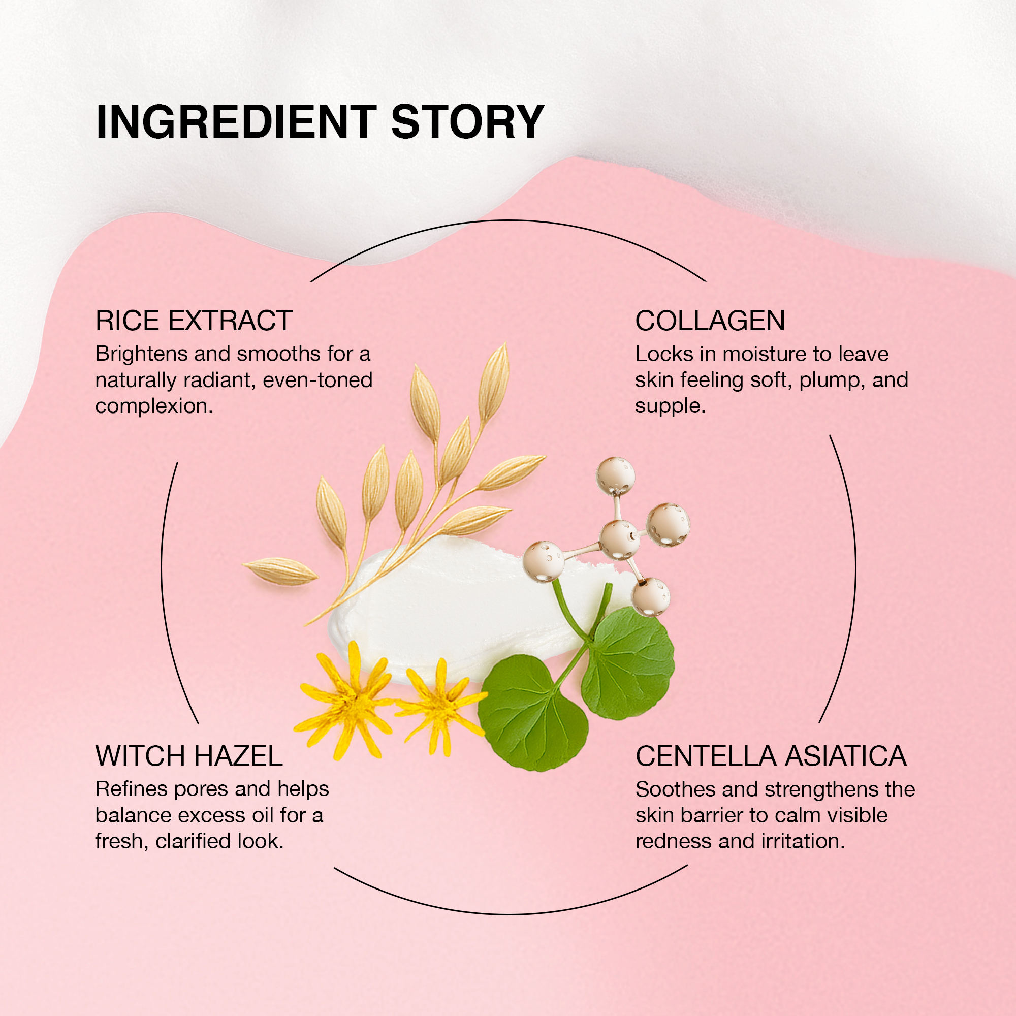 Ingredient story featuring rice extract, collagen, witch hazel, and centella asiatica for radiant, moisturized skin.