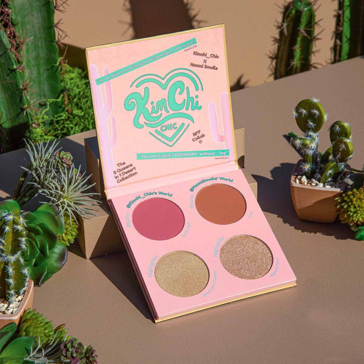 grouped KimChi-Chic-Beauty-NAOMI-SMALLS-X-KIMCHI-Sunkissed-in-June-Blush-Palette-Vegan